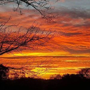 Meet your Posher, Bill